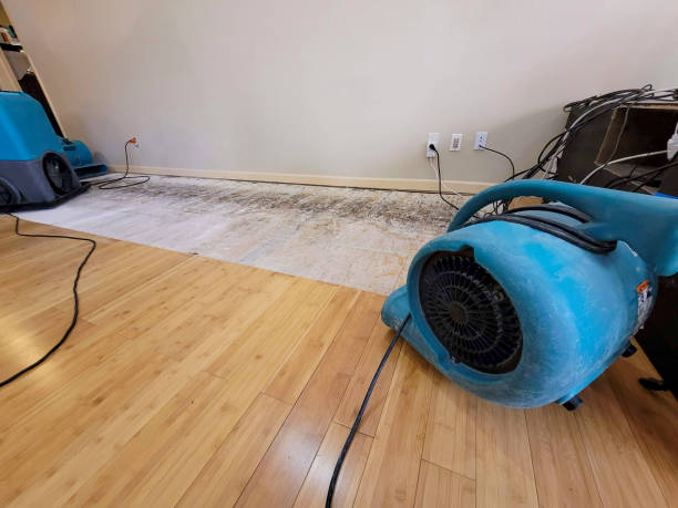 Professional Burst Pipe Water Damage technician working in Hingham, MA